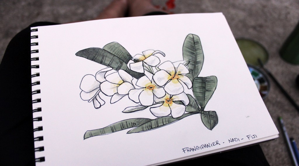 L’heure Fidjienne : de Nadi à&nbsp;Mana