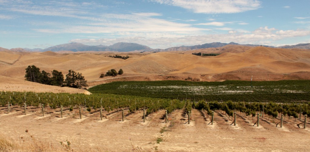 Les vignobles de&nbsp;Bleinhem