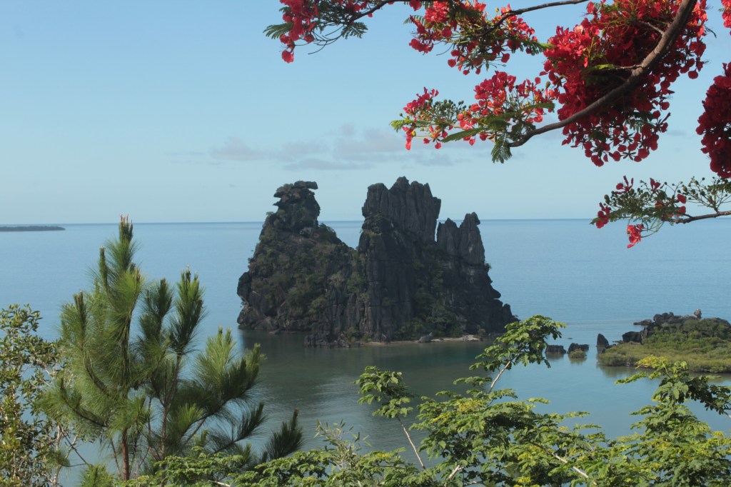 Hyengene et sa mystérieuse poule&nbsp;couveuse