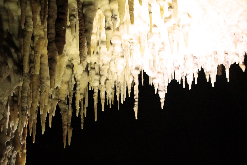 la féerie de Buchan et la Sapphire&nbsp;Coast
