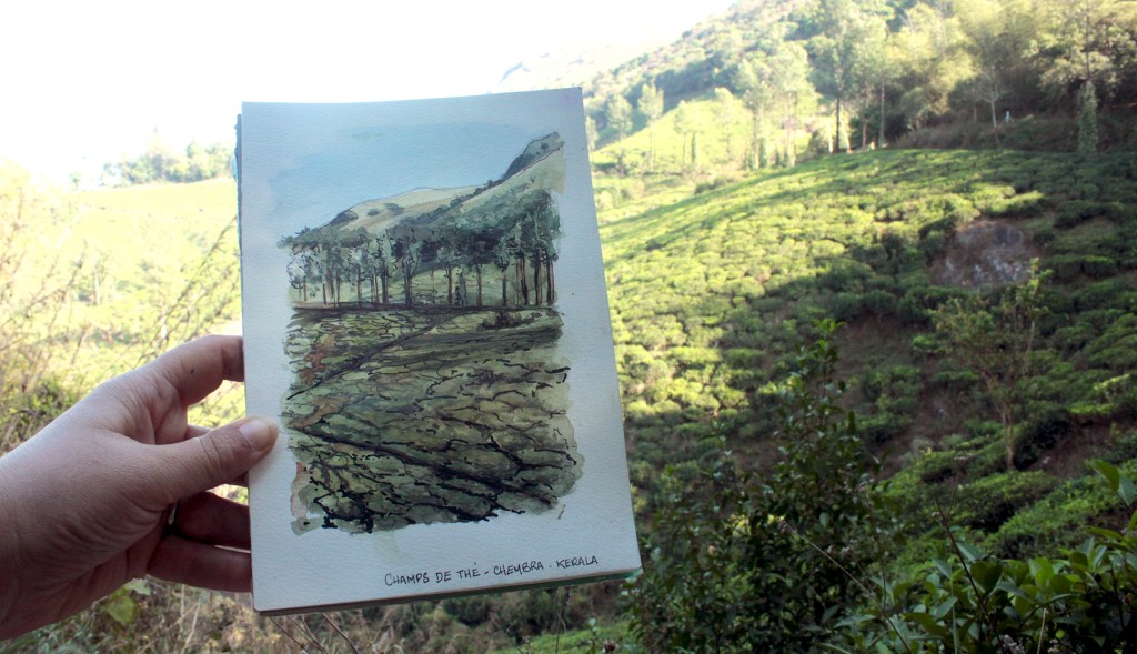 Wayanad : Chembra Peak et Kuruva&nbsp;Island