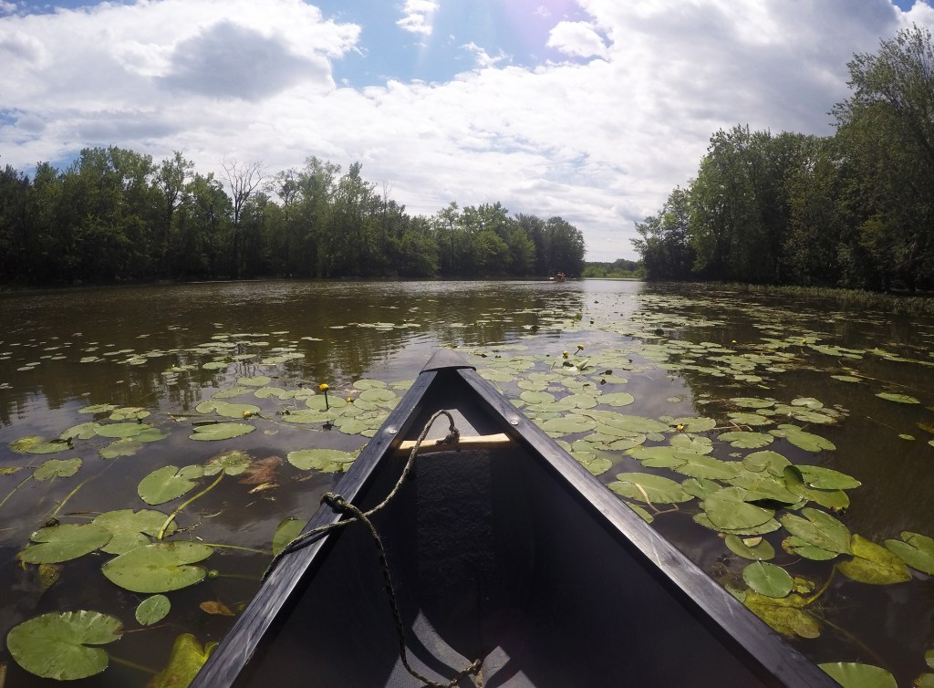 Dans les bayous de la rivière-des-milles-îles