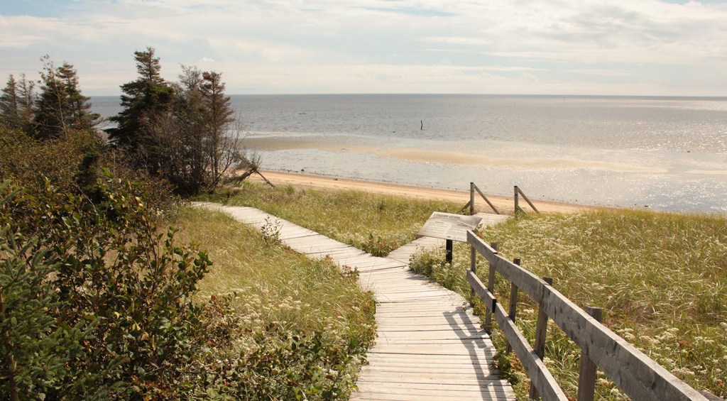 La route des baleines : des Escoumins à Baie&nbsp;Comeau