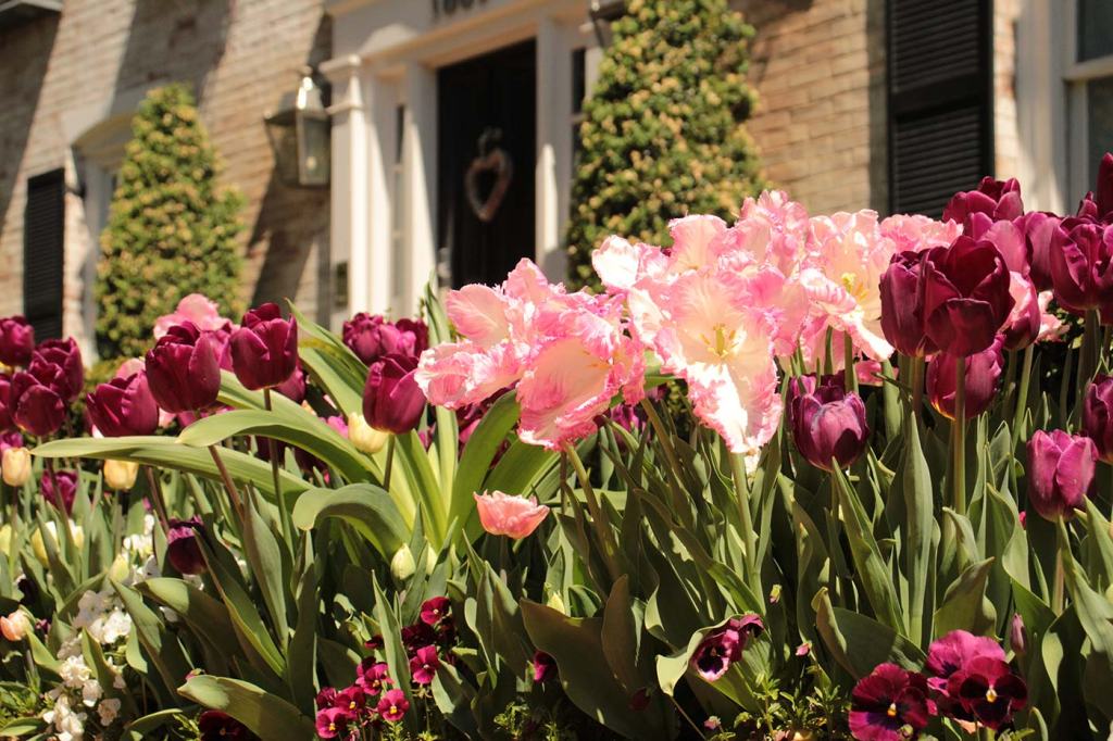 Autour de Washington&nbsp;DC